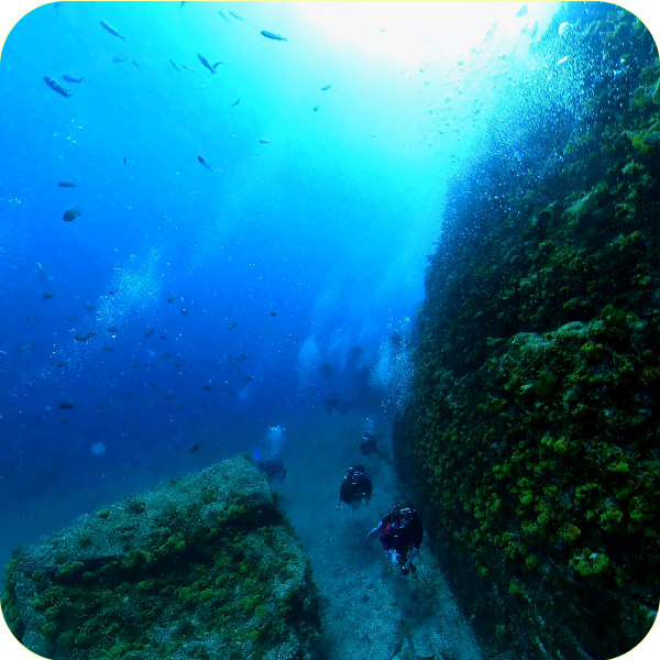 冠島ダイビング中津神
