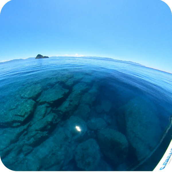 冠島ダイビング トドグリ