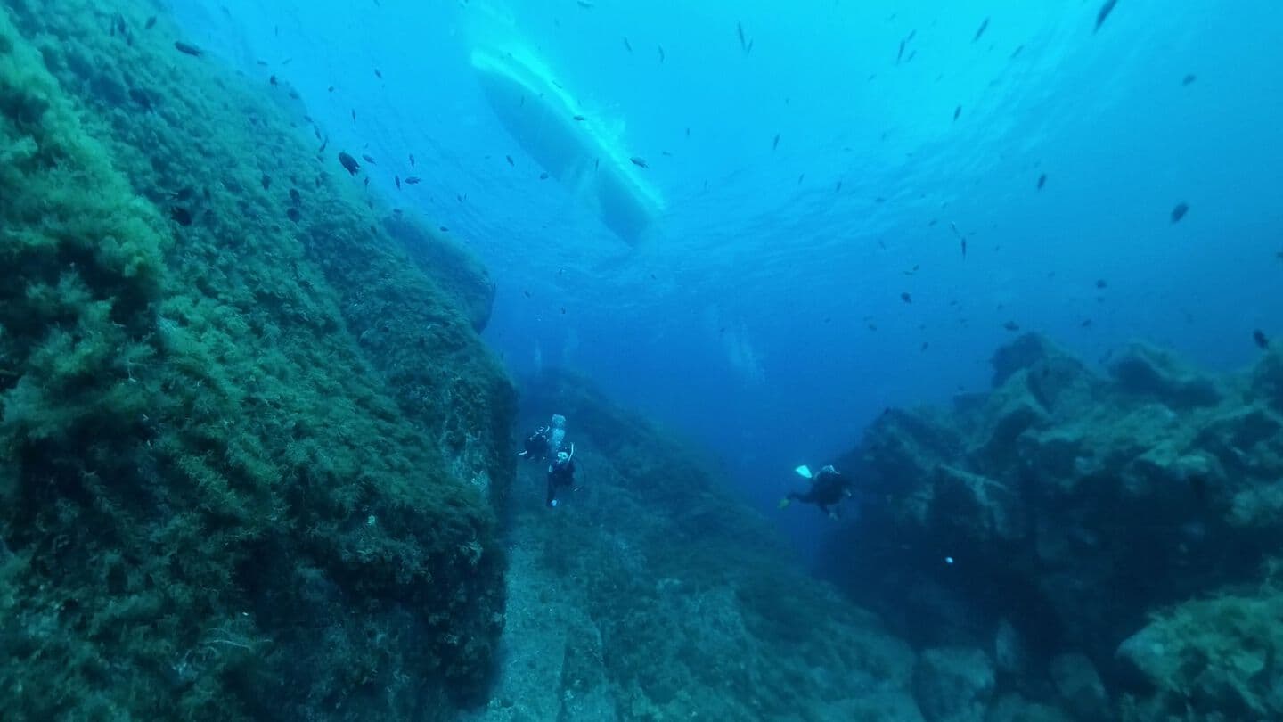 ダイナミックな地形