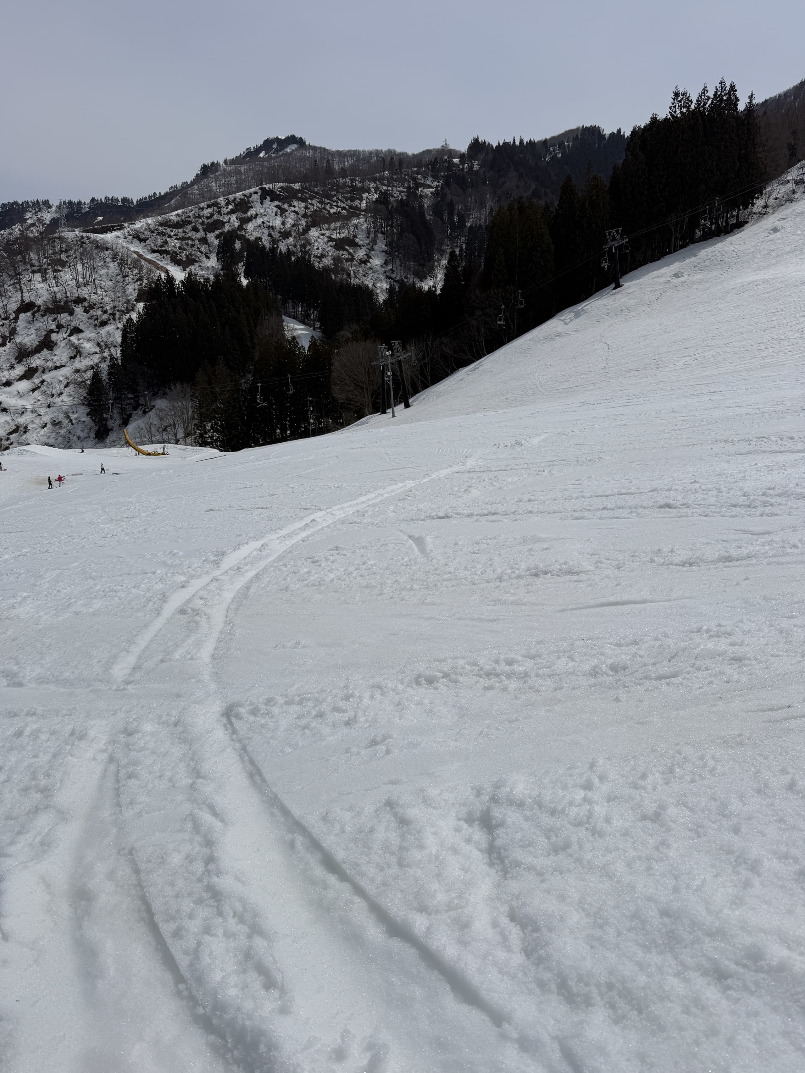 track